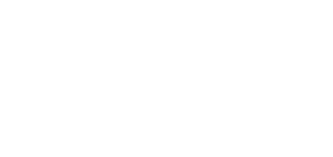 Visionary Artists Agency Logo